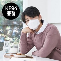 KF94 늘푸른마스크 50매 100매 무형광마스크 황사마스크 중형 대형 블랙 KF-94 써멀본드마스크 써멀본드KF94 써멀본드KF-94 써멀본드마스크 국가대표마스크 식약처인증