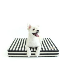 스토어봄 헙스(HUPS) 반려동물 쿨매트 블랙, 50*50*7cm