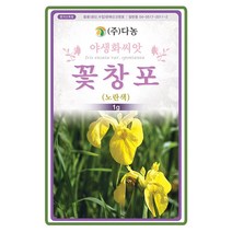 꽃창포 1g 야생화 꽃씨 꽃창포씨앗