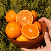 제주 고당도 설국향 수라향 신비향 가정용 3kg 5kg, 수라향 상품 4.5kg 중대과