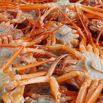 [산지직송 선주직송] 대게 홍게 자숙 홍게 당일조업 3kg 10마리 동해 포항 구룡포 서민갑부 출연, 명품 소홍게 3kg 10마리
