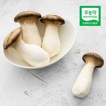 삼시세끼연구소 친환경 무농약 새송이 버섯 미니새송이버섯 콩알새송이버섯 구이용 300g 400g, 친환경 새송이버섯(대) 400g