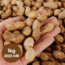 엄마마음 국내산 경북예천 우리토종 햇땅콩 생땅콩 흙땅콩 땅콩, 1kg