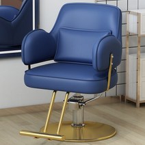 바버샵의자 이발소의자 럭셔리 회전 안락 의자 미적 스타일링 전문 이발 살롱 트리트먼트 세디아 기레 가구 LJ50BC, 12.gold disc