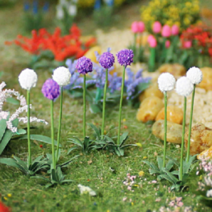 동아측기 포레스 디오라마 모형 꽃 알리움, 퍼플 소 3P