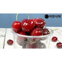 [자연식탁]칠레산 고당도 프리미엄 생체리 500g 큰사이즈(9.5row), 단품