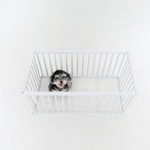 독톡 강아지 울타리 애견 펜스, 옵션01, 네이비, 화이트