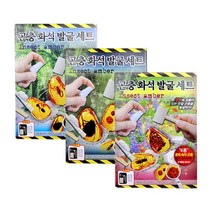 프랜즈 곤충화석발굴세트 랜덤 1세트 /집콕 관찰 체험, 랜덤 1개