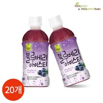 웰그린 블루베리 아이스티 340ml x 20PET, 20개