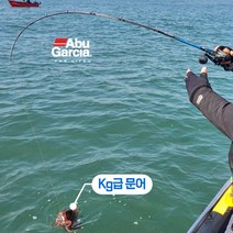 아부가르시아 솔티파이터 슈퍼 타코스 문어낚시대 C-180H-XH, 단품