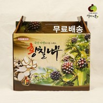 엄마애손 황칠나무즙 황칠진액 국내산 100% 황칠나무 액기스 추출액 부모님 건강선물 100ml 60팩