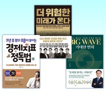 (김영익 세트) BIG WAVE 거대한 변화 + 더 위험한 미래가 온다 + 경제지표 정독법 (전3권)
