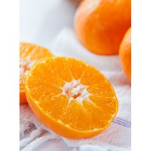 [코코리팜]새콤달콤 제주 노지감귤 5Kg 10Kg, 꼬마5Kg