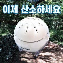 내방산소 가정용 개인용 이산화탄소제거 고체 산소발생기, 1개, 450g
