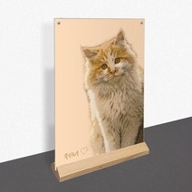 모노치 반려동물 초상화 강아지 고양이 펫아트 그림 탁상액자 무지개다리 생일파티 선물, A4 (210x297mm), 07. 일자형 육각우드