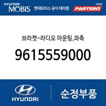 브라켓-라디오 마운팅 좌측 (9615559000) 쏠라티 쏠라티 특장
