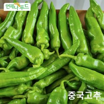 [언제나푸드] 중국고추(라메이즈라죠) 중국식품 매운고추 노지재배 생산자직배송, 1개, 1kg