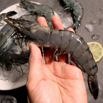 블랙타이거 새우 냉동새우 캠핑음식 요리 10미 15미 20미 25미 30미, 500g(10미), 1개, 1.블랙타이거 새우 10미 x 1팩