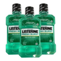 리스테린 후레쉬 버스트 250ml X 3개, 단품
