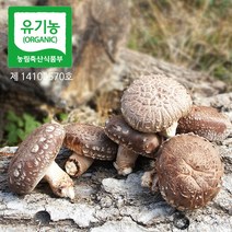 유기농 참나무원목 생 표고버섯 생표고 1kg 가정용/특상품 옵션선택, 생표고버섯 1kg(특상)