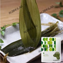 명이나물 장아찌 진미찬 1Kg