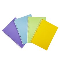 이화 무지 연습장 PP표지 고품질 무선노트, 100매(10개입)