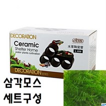 [신세계수족관] 이스타 CRS 모스활착 은신처 L