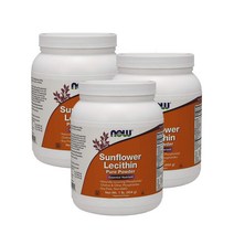 Now 나우푸드 미네랄 해바라기 레시틴 파우더 가루 454g 3팩, 1개, 기본