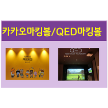 [새상품]22년 카카오프렌즈 마킹볼 QED 큐이디 레인지볼 내구성최강 국내제작 정품 새골프공 300알, 원형마킹볼 300알