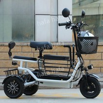 3륜 전기 자전거 성인용 어르신 출퇴근 배달, I. 12Ah약40km