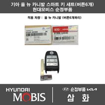기아 올 뉴 카니발 (14~18년형) 스마트키 세트 95440-A9300 + 81996-A4040 버튼 6개