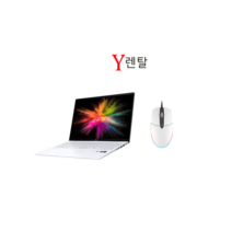 LG그램 17인치 노트북렌탈 단기 대여 렌트 노트북, 90일 렌탈, 17Z90N, 코어i5, 256GB, 16GB, WIN10 Home