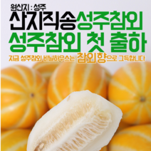 참앤팜 2020년 햇 성주참외, 1박스, 07)가정용 성주참외 소과 5kg이내 (포장재 포함)