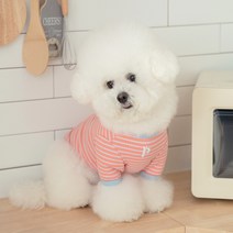 펫츠랜드 강아지 앨리스 티셔츠, 코랄