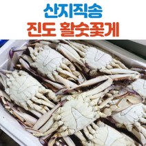 산지직송 진도 활 숫꽃게, 숫꽃게_2kg