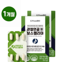 프롬바이오 관절연골엔 보스웰리아 1개월분(2박스), 1개, 기본