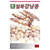 다농 얼룩강낭콩씨앗 600g 풋콩 저장용 맛좋은 강낭콩