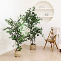 인조나무 조화나무 화분 인테리어 식물 장식 벤자민 2size, 벤자민 150cm, 1개