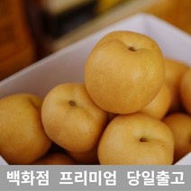 [특등급선별] 배 15kg 감기에좋은음식 기침멈추는법 가래없애는방법 과일 배즙 배차 배즙효능 배가격 과일배 먹골배 배주스 사과배 배음료 서생배 과일 신선한 프리미엄 백화점 업소용, 쿠팡 15KG