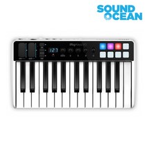 IK Multimedia iRig Keys I/O 25 마스터키보드 25건반