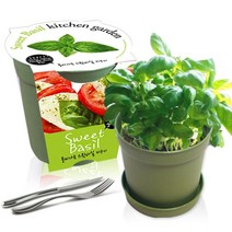 [천삼백케이] [농업회사법인 세경팜 주식회사] 세경팜 컬러키친가든 스윗바질 식물키우기 텃밭가꾸기, 레드, 루꼴라
