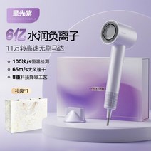 가정용 고속 헤어 드라이기 음이온 속건성 저소음 고출력, 퍼플