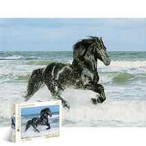 500조각 직소퍼즐 - 흑마의 질주 (유액없음)(클레멘토니) 직소퍼즐 동물퍼즐 퍼즐 취미퍼즐 교육퍼즐, 상세페이지 참조, 1