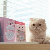 캣츠모리 와이어츄 닭고기맛 고양이 덴탈껌, 단품