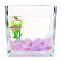 핑크 퍼플 컬러 돌 유리 자갈 250g 어항 꾸미기 구피 알비노폴레드 물고기키우기 베타 미니, 코꾸모 쿠팡 믹스퍼플돌
