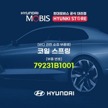 현대모비스 코일 스프링 (79231B1001), 1개