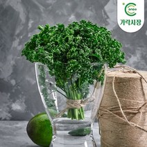 [온도씨] 가락시장 파세리(파슬리) 1박스 (약4kg), 상세 설명 참조