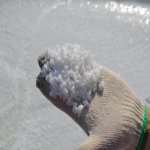 23년산 육형제소금 신안 6형제 천일염 굵은소금 20KG, 22년산 천일염 20KG, 1개