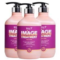 위스티 이미지 극손상 헤어트리트먼트 러블리프렌즈 500ml, 3개