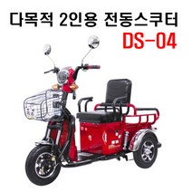 seastar 전동삼륜차 3륜오토바이 전동오토바이 DS-04 공장직영, 브라운, 20ah 리튬